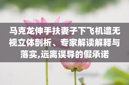 馬克龍伸手扶妻子下飛機(jī)遭無視立體剖析、專家解讀解釋與落實(shí),遠(yuǎn)離誤導(dǎo)的假承諾