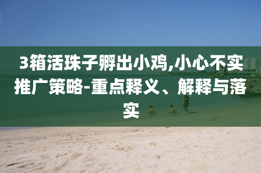 3箱活珠子孵出小雞,小心不實推廣策略-重點釋義、解釋與落實