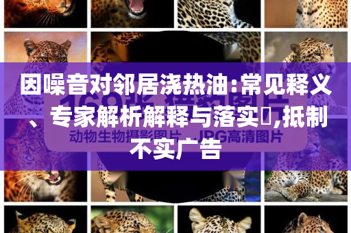 因噪音對(duì)鄰居澆熱油:常見釋義、專家解析解釋與落實(shí)?,抵制不實(shí)廣告
