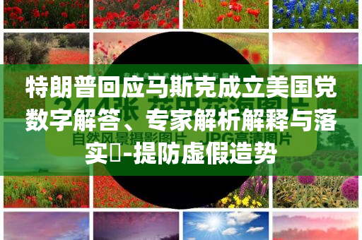 特朗普回應(yīng)馬斯克成立美國(guó)黨數(shù)字解答、專家解析解釋與落實(shí)?-提防虛假造勢(shì)