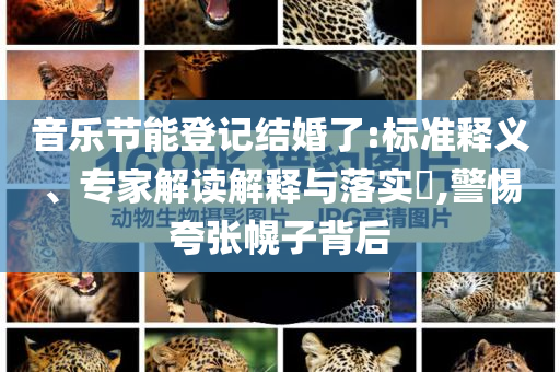 音樂節(jié)能登記結(jié)婚了:標(biāo)準(zhǔn)釋義、專家解讀解釋與落實(shí)?,警惕夸張幌子背后