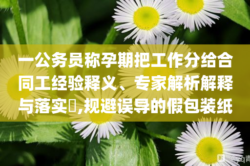 一公務(wù)員稱孕期把工作分給合同工經(jīng)驗(yàn)釋義、專家解析解釋與落實(shí)?,規(guī)避誤導(dǎo)的假包裝紙