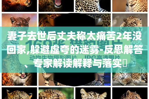 妻子去世后丈夫稱太痛苦2年沒回家,躲避虛夸的迷霧-反思解答、專家解讀解釋與落實(shí)?