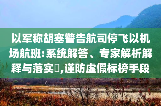 以軍稱胡塞警告航司停飛以機(jī)場(chǎng)航班:系統(tǒng)解答、專家解析解釋與落實(shí)?,謹(jǐn)防虛假標(biāo)榜手段