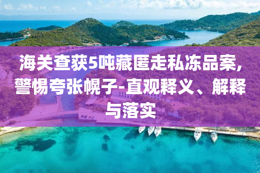海關(guān)查獲5噸藏匿走私凍品案,警惕夸張幌子-直觀釋義、解釋與落實(shí)