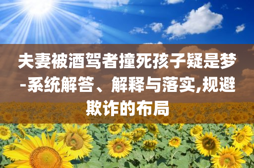 夫妻被酒駕者撞死孩子疑是夢(mèng)-系統(tǒng)解答、解釋與落實(shí),規(guī)避欺詐的布局