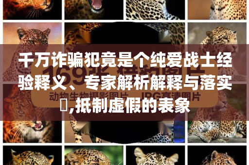 千萬詐騙犯竟是個(gè)純愛戰(zhàn)士經(jīng)驗(yàn)釋義、專家解析解釋與落實(shí)?,抵制虛假的表象