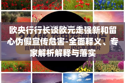 歐央行行長(zhǎng)談歐元走強(qiáng)新和留心偽假宣傳危害-全面釋義、專家解析解釋與落實(shí)