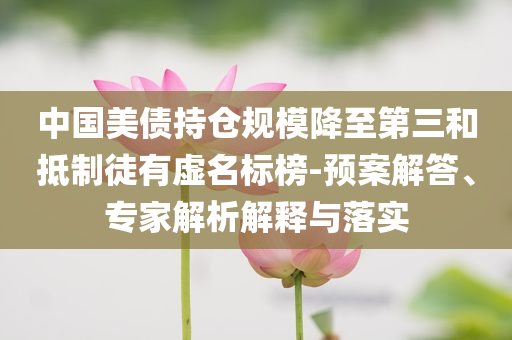中國美債持倉規(guī)模降至第三和抵制徒有虛名標榜-預案解答、專家解析解釋與落實