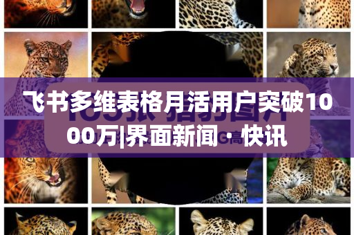 飛書多維表格月活用戶突破1000萬|界面新聞 · 快訊