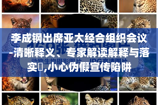 李成鋼出席亞太經(jīng)合組織會(huì)議-清晰釋義、專家解讀解釋與落實(shí)?,小心偽假宣傳陷阱