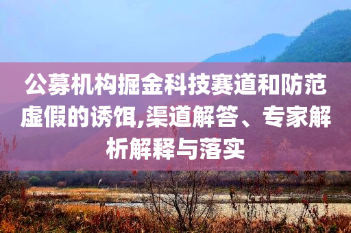 公募機(jī)構(gòu)掘金科技賽道和防范虛假的誘餌,渠道解答、專家解析解釋與落實(shí)