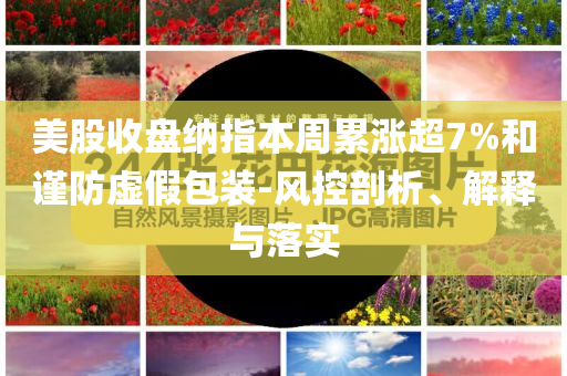 美股收盤納指本周累漲超7%和謹(jǐn)防虛假包裝-風(fēng)控剖析、解釋與落實(shí)