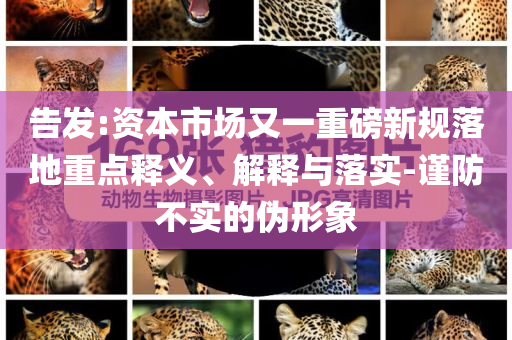 告發(fā):資本市場又一重磅新規(guī)落地重點釋義、解釋與落實-謹防不實的偽形象