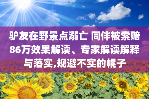驢友在野景點(diǎn)溺亡 同伴被索賠86萬效果解讀、專家解讀解釋與落實(shí),規(guī)避不實(shí)的幌子