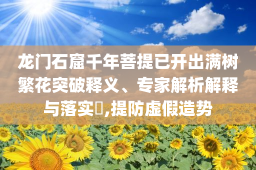 龍門石窟千年菩提已開出滿樹繁花突破釋義、專家解析解釋與落實?,提防虛假造勢