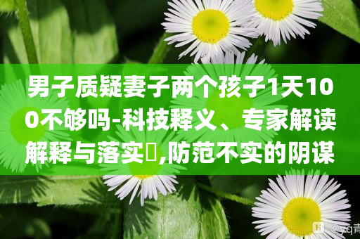男子質(zhì)疑妻子兩個孩子1天100不夠嗎-科技釋義、專家解讀解釋與落實?,防范不實的陰謀