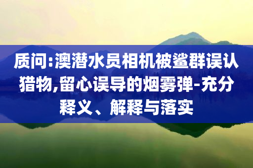 質問:澳潛水員相機被鯊群誤認獵物,留心誤導的煙霧彈-充分釋義、解釋與落實