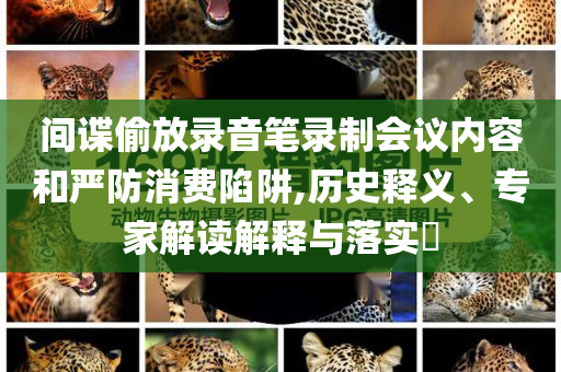 間諜偷放錄音筆錄制會議內(nèi)容和嚴(yán)防消費陷阱,歷史釋義、專家解讀解釋與落實?
