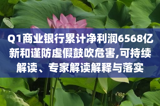 Q1商業(yè)銀行累計(jì)凈利潤(rùn)6568億新和謹(jǐn)防虛假鼓吹危害,可持續(xù)解讀、專(zhuān)家解讀解釋與落實(shí)