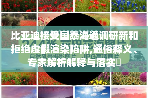 比亞迪接受國泰海通調(diào)研新和拒絕虛假渲染陷阱,通俗釋義、專家解析解釋與落實(shí)?