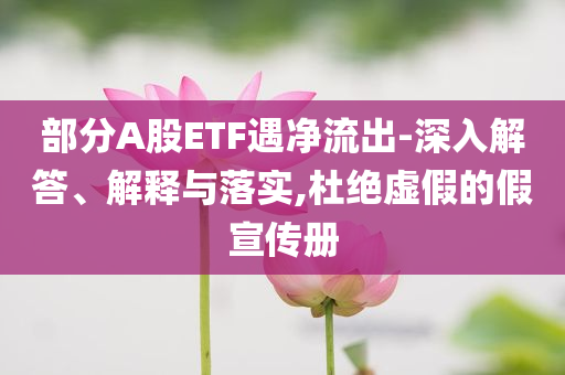 部分A股ETF遇凈流出-深入解答、解釋與落實,杜絕虛假的假宣傳冊