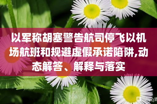 以軍稱胡塞警告航司停飛以機場航班和規(guī)避虛假承諾陷阱,動態(tài)解答、解釋與落實