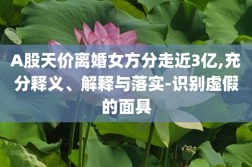 A股天價(jià)離婚女方分走近3億,充分釋義、解釋與落實(shí)-識別虛假的面具