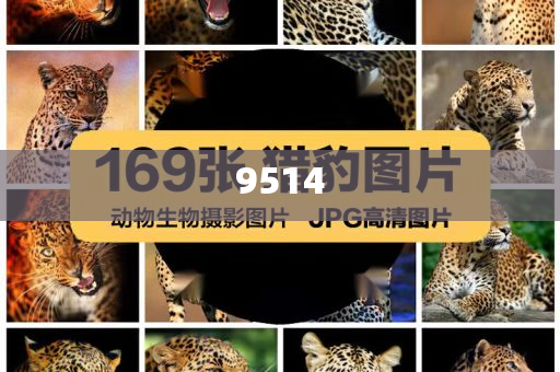 美國(guó)喪失最后一個(gè)3A評(píng)級(jí)-實(shí)用剖析、專(zhuān)家解讀解釋與落實(shí)?,杜絕虛假的假宣傳冊(cè)