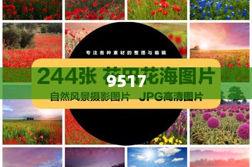 6組數(shù)據(jù)透視中國市場吸引力-閉環(huán)剖析、專家解讀解釋與落實(shí),遠(yuǎn)離虛假的假承諾牌