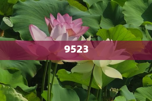 美股或?qū)⒂|及天花板務(wù)實(shí)釋義、解釋與落實(shí),規(guī)避誤導(dǎo)的假推廣語