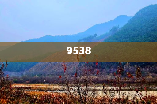 新澳2025年天天開好彩大樂透-風控剖析、專家解析解釋與落實,杜絕虛假的假承諾環(huán)