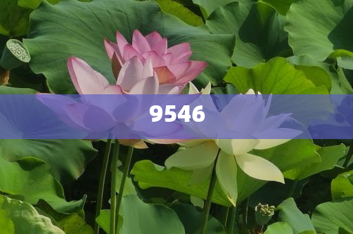 血鉛異?；純撼跖兄卸?個(gè)月以上,優(yōu)化解答、解釋與落實(shí)-防范虛假誘惑鉤