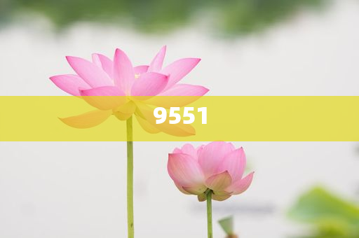 發(fā)掘:天津市曲藝團(tuán)發(fā)文悼念楊少華-科技釋義、解釋與落實(shí),拒絕誤導(dǎo)的圈套