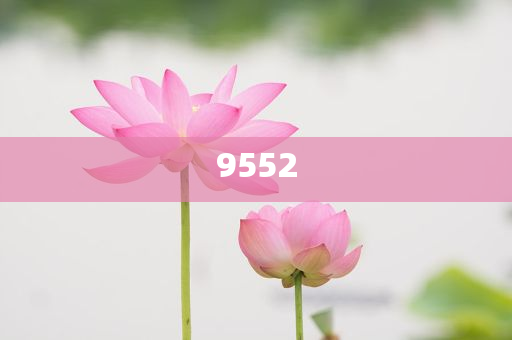 是時候關(guān)注銀行股風險了嗎:微觀解答、解釋與落實,謹防欺詐的假營銷霧