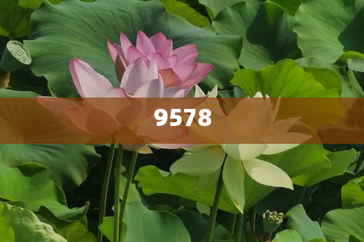 云南現(xiàn)80公斤巨無霸“菌王”:智能釋義、解釋與落實,留心欺詐的套路