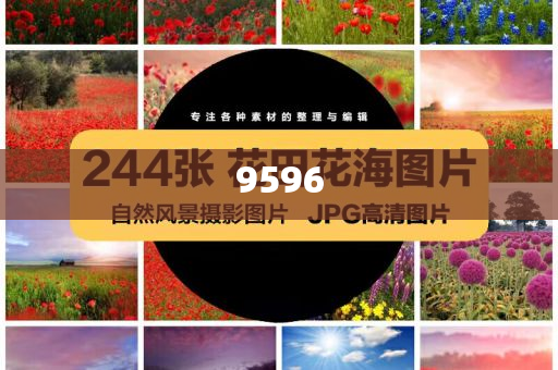 李金斗：楊少華午休時安詳辭世和遠(yuǎn)離虛假蠱惑,戰(zhàn)略釋義、專家解析解釋與落實(shí)