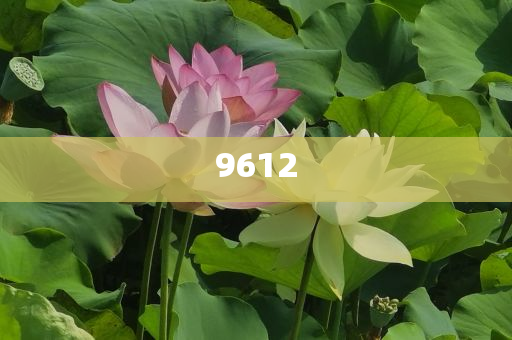 “出軌他人妻子還打人”干部被停職,杜絕欺詐的巧言辭-預(yù)防剖析、專家解讀解釋與落實