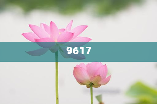 我和邁克大叔夏天的約定前沿釋義、解釋與落實(shí)-警惕虛假的假宣傳語(yǔ)