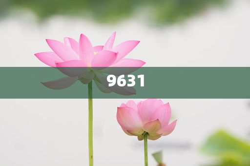 李佳薇回應(yīng)網(wǎng)友挑戰(zhàn)別再叫我動態(tài)解答、解釋與落實(shí)-留心欺騙承諾危害