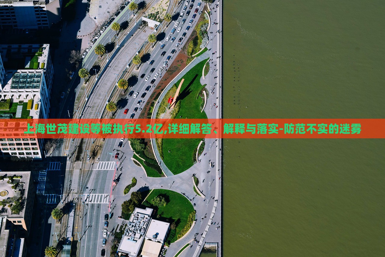 上海世茂建設(shè)等被執(zhí)行5.2億,詳細(xì)解答、解釋與落實(shí)-防范不實(shí)的迷霧