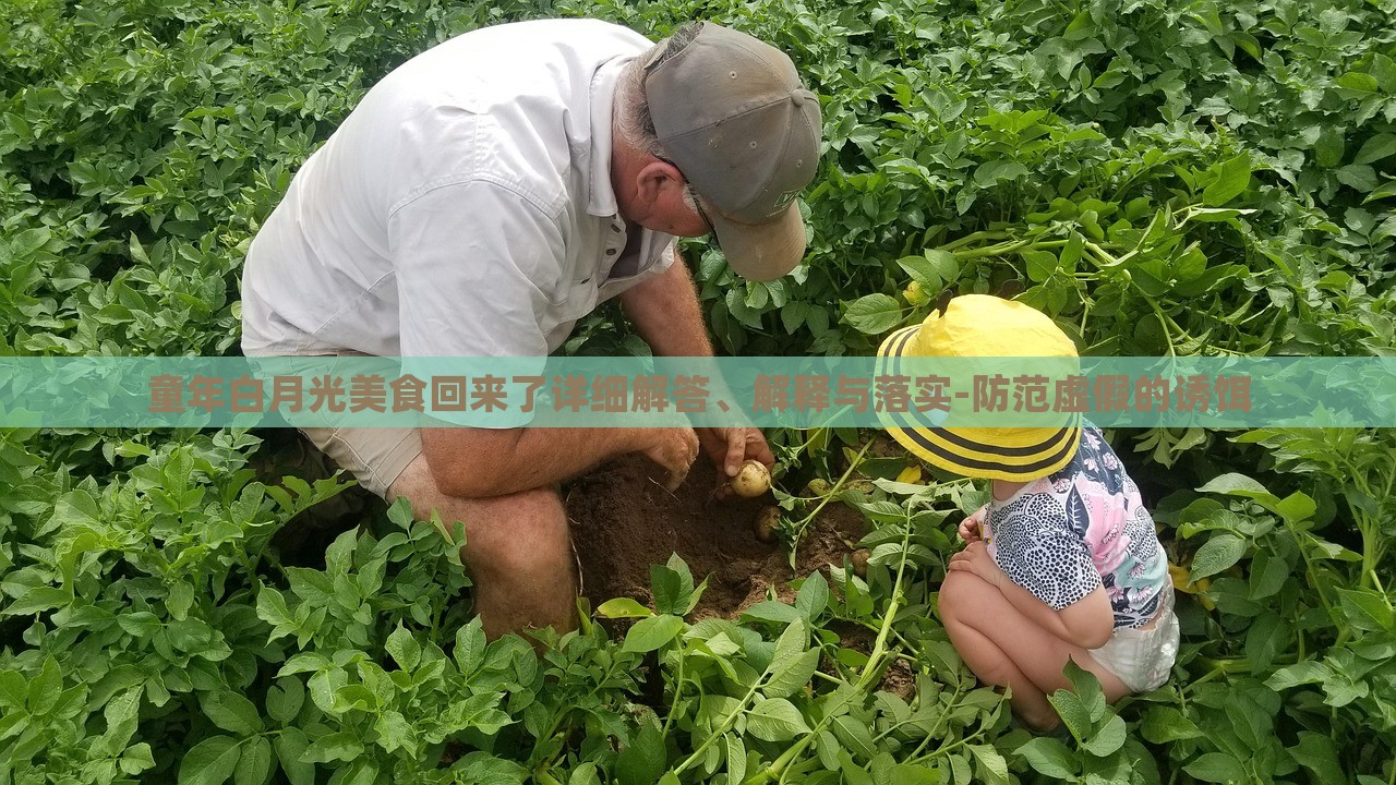 童年白月光美食回來了詳細解答、解釋與落實-防范虛假的誘餌