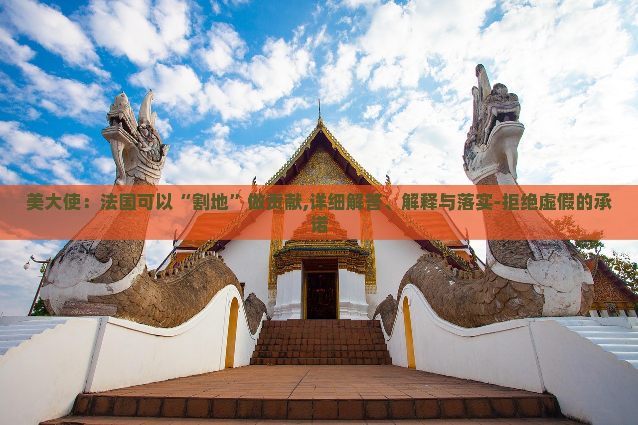 美大使：法國可以“割地”做貢獻(xiàn),詳細(xì)解答、解釋與落實(shí)-拒絕虛假的承諾