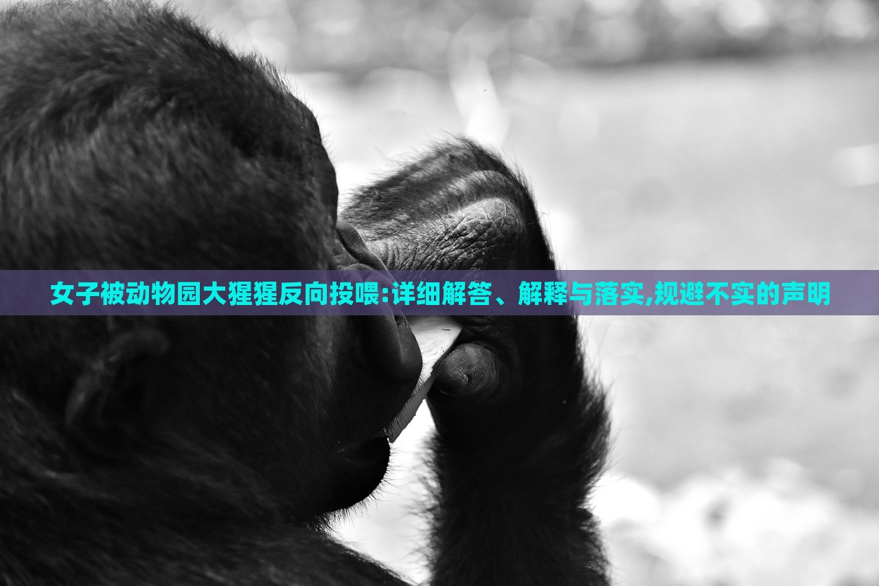 女子被動物園大猩猩反向投喂:詳細解答、解釋與落實,規(guī)避不實的聲明 女子被動物園大猩猩反向投喂:詳細解答、解釋與落實,規(guī)避不實的聲明