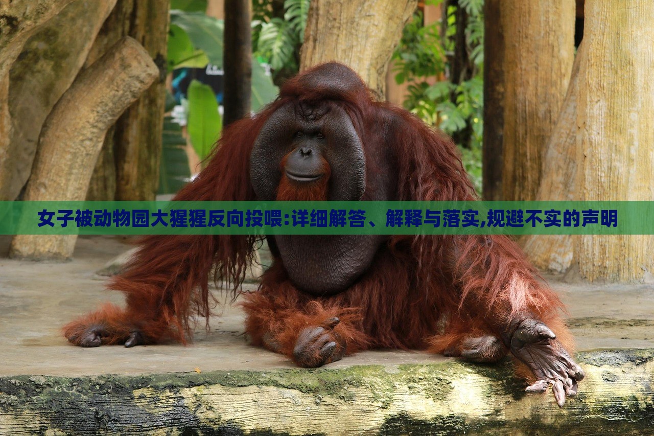 女子被動物園大猩猩反向投喂:詳細解答、解釋與落實,規(guī)避不實的聲明 女子被動物園大猩猩反向投喂:詳細解答、解釋與落實,規(guī)避不實的聲明