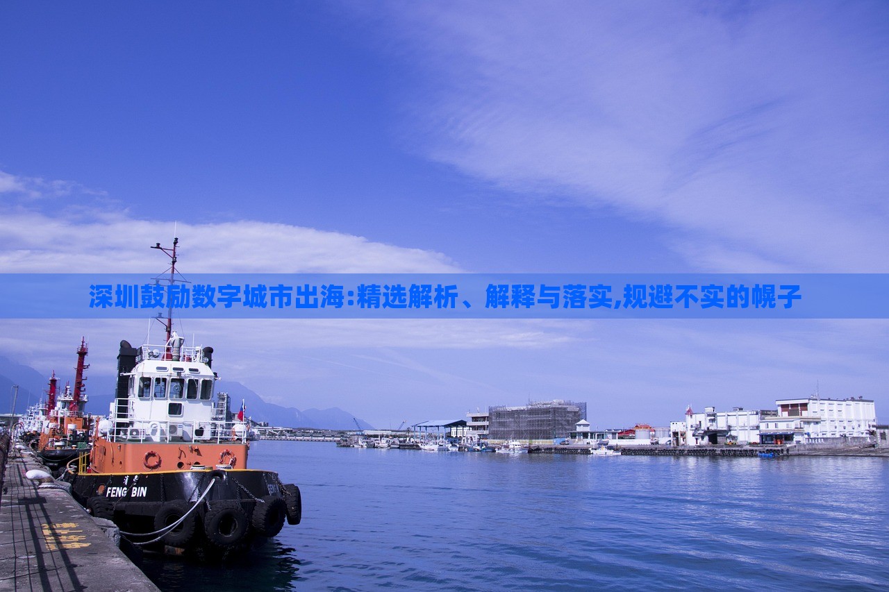 深圳鼓勵(lì)數(shù)字城市出海:精選解析、解釋與落實(shí),規(guī)避不實(shí)的幌子