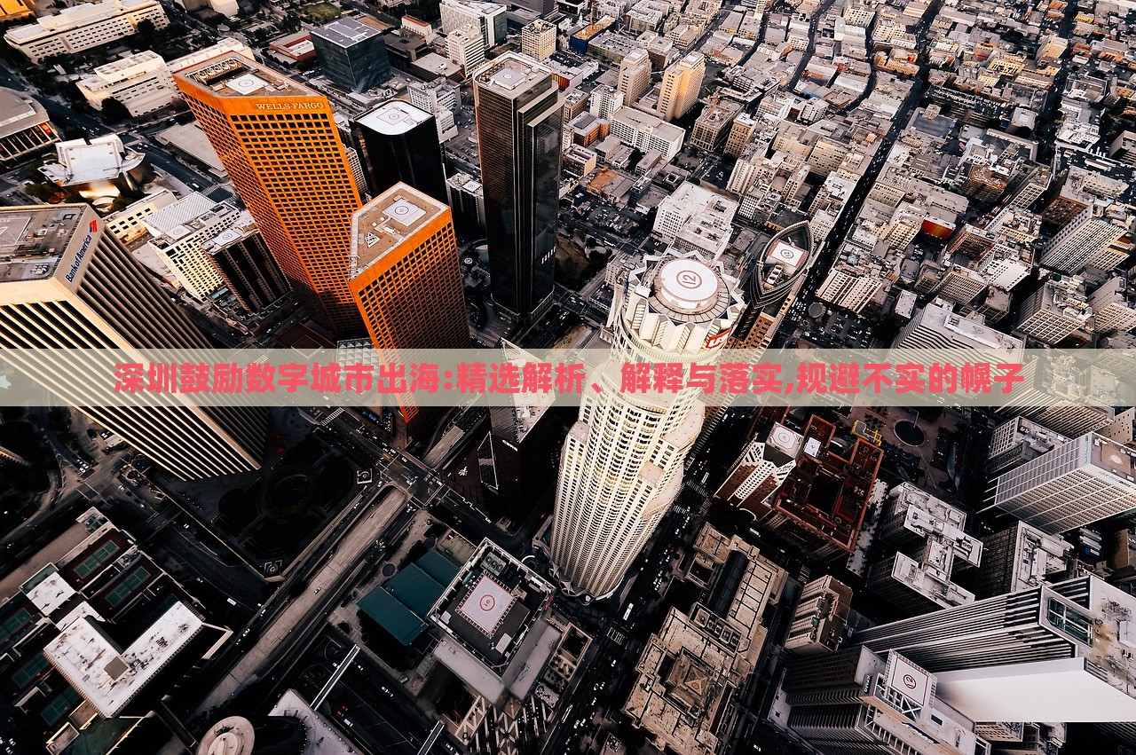 深圳鼓勵(lì)數(shù)字城市出海:精選解析、解釋與落實(shí),規(guī)避不實(shí)的幌子
