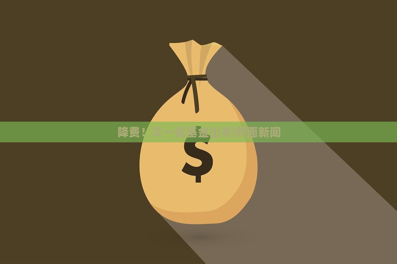 降費(fèi)！又一批基金出手|界面新聞
