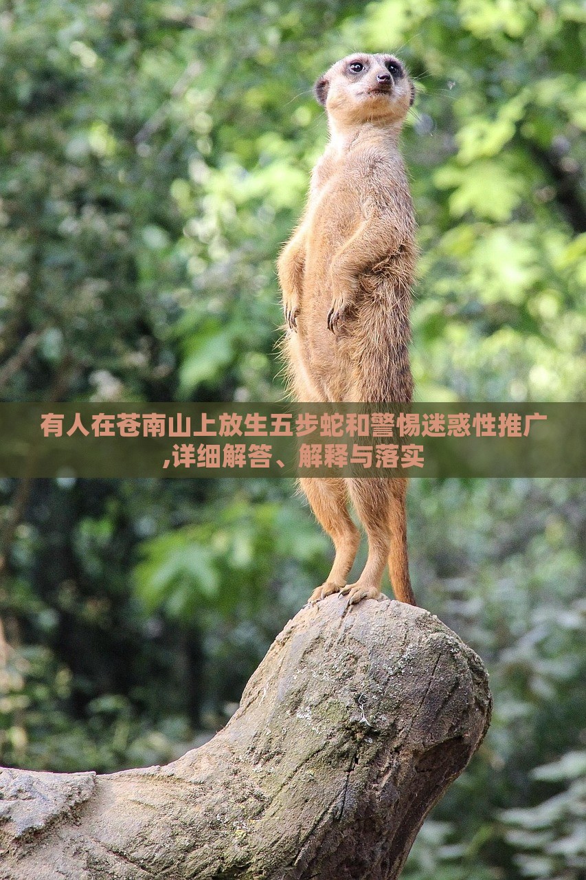 有人在蒼南山上放生五步蛇和警惕迷惑性推廣,詳細(xì)解答、解釋與落實(shí)